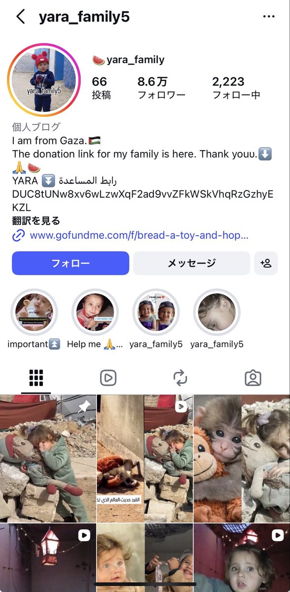 Pepe lover tweet media