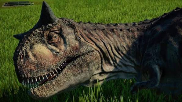 CarnotaurusDino's tweet photo. goodnight everyone 😴 https://t.co/ad4zDCMHho