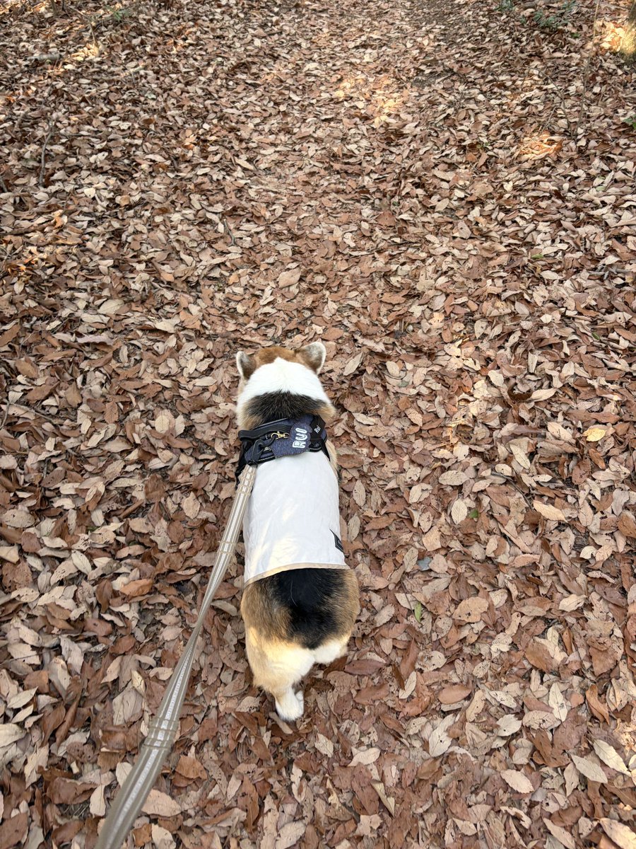 𝐑𝐮𝐢 tweet media