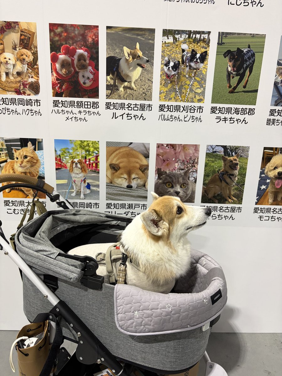 𝐑𝐮𝐢 tweet media