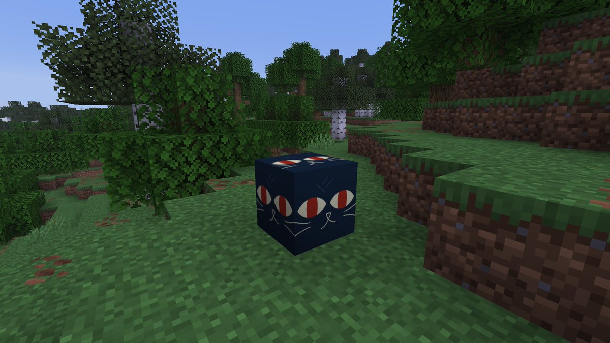 McBuilder434 tweet media