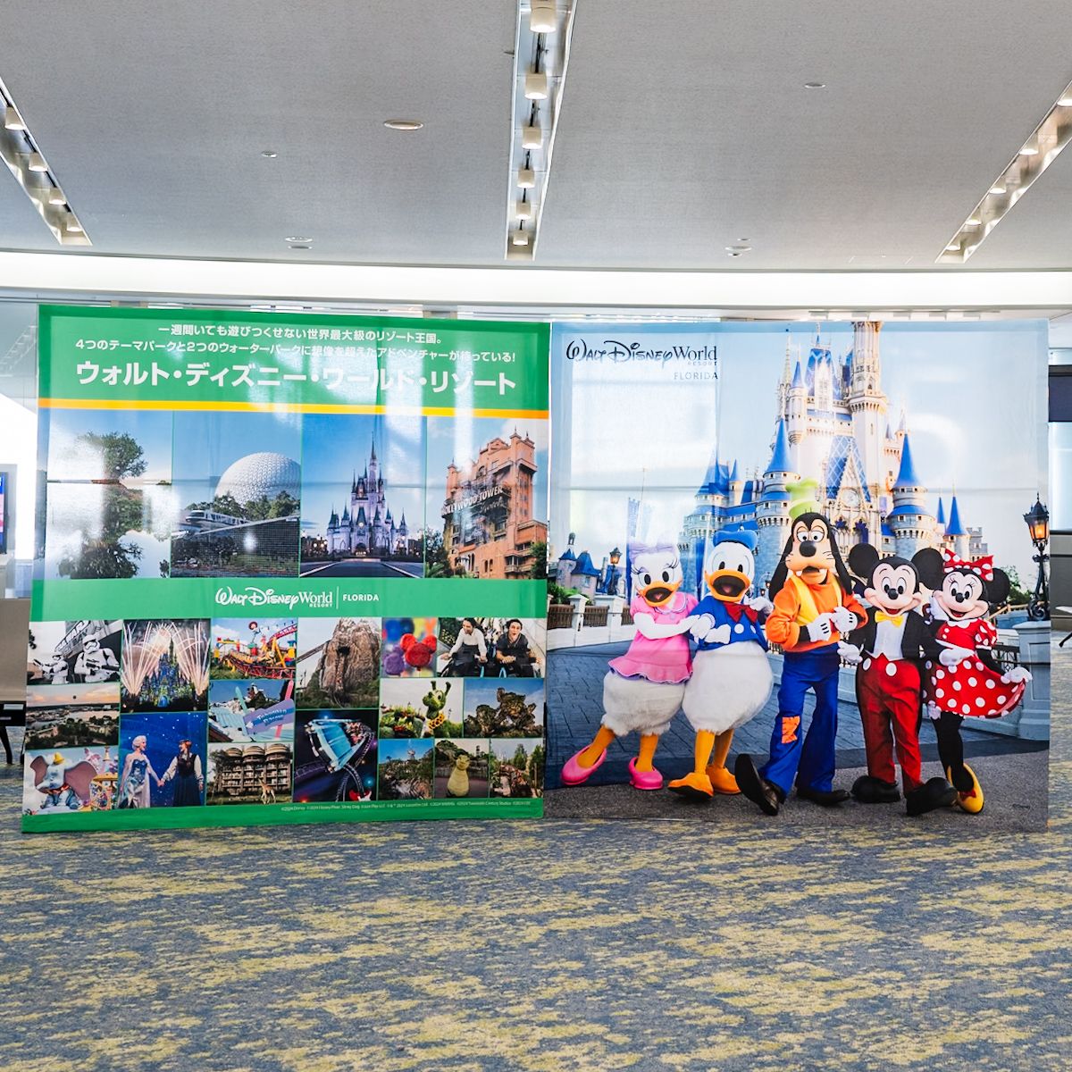 史上初の直行便でフロリダへ！ ZIPAIR「ウォルト・ディズニー