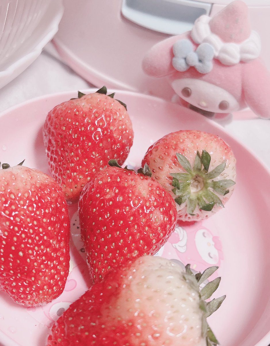 日曜日ー‼️ありがとーございました❕
ねこの日らしい事何も出来なかったけど楽しかった〜‼️😽🩷
みんなお酒は程々にね😹
苺の季節になったの幸せ〜‼️🍓
たくさんたべたよ‼️‼️🍓