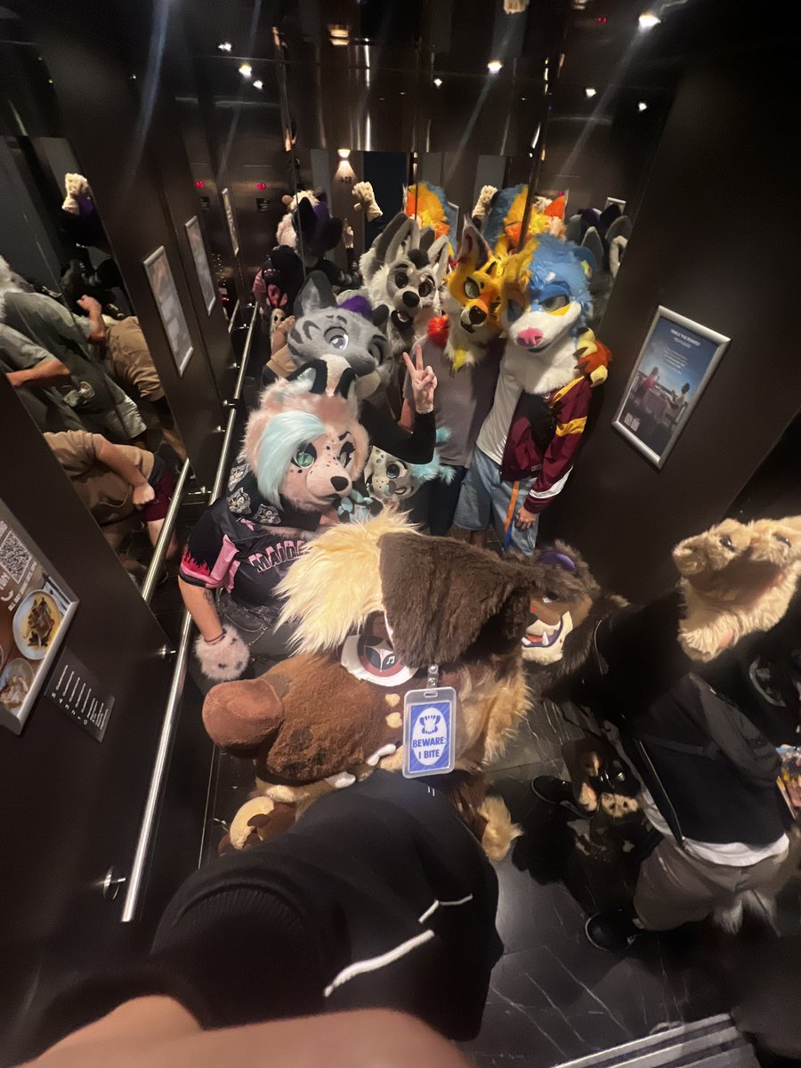 MickyU! 🎶|| 🔜FURDU26 tweet media