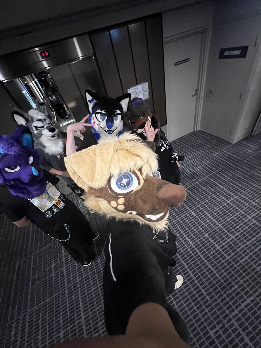 MickyU! 🎶|| 🔜FURDU26 tweet media