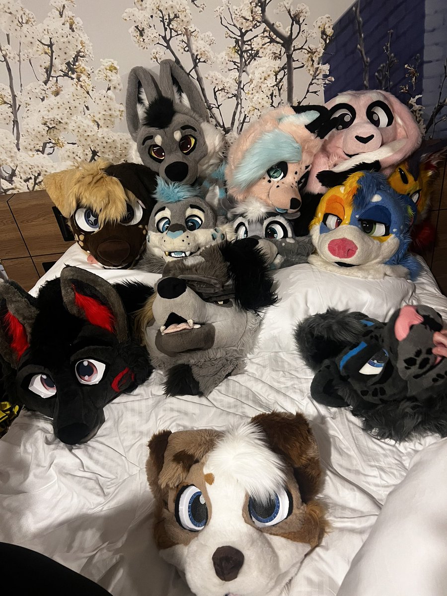 MickyU! 🎶|| 🔜FURDU26 tweet media