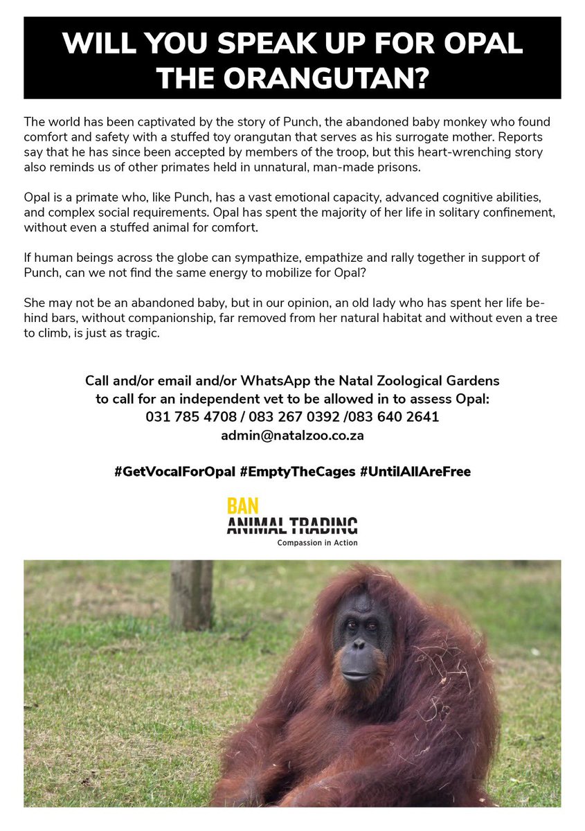 Ban Animal Trading tweet media