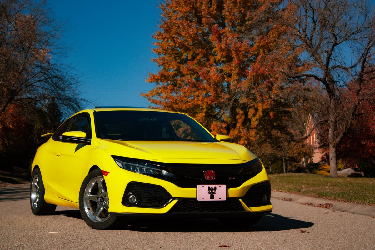 🍂Faded🍂 tweet media