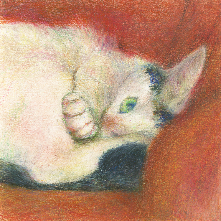 gonmorihikaru's tweet image. ねむいの……
2018年
ソフトパステル、色鉛筆、紙
150×150mm
ift.tt/jT2NVJo
#動物 #animal #pastel #猫 #cat  #thisisgallery  #全国被害者支援ネットワーク  #募金