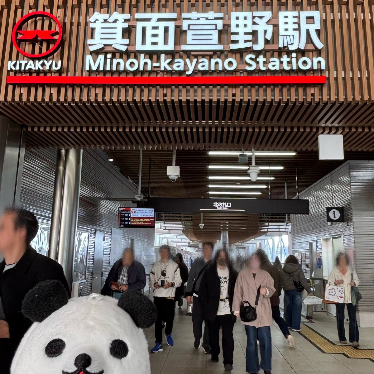 ひで@うどん県 tweet media