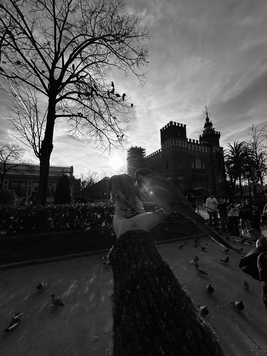 Todo lo lindo en Barcelona ✨🥹