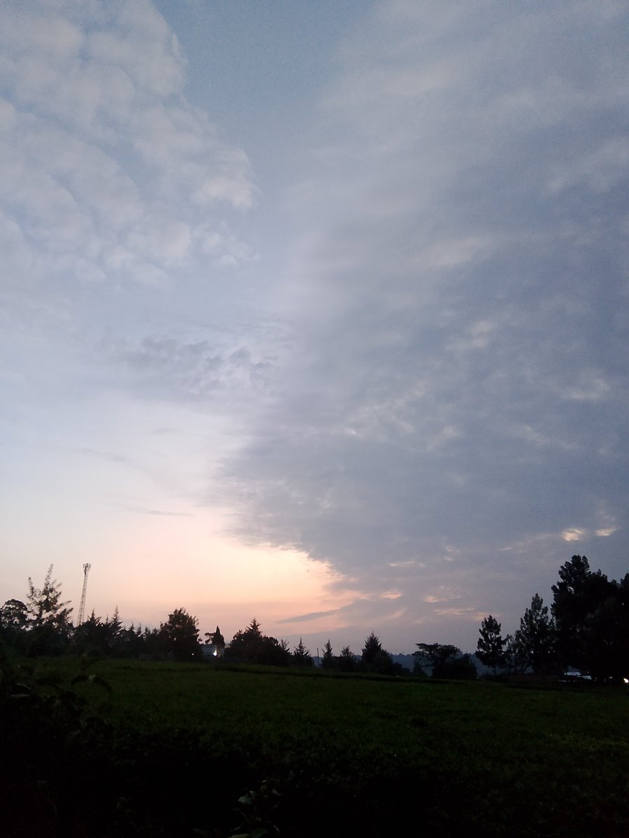 Up and Grateful, Good morning friends of Chequemate 🦋🌄