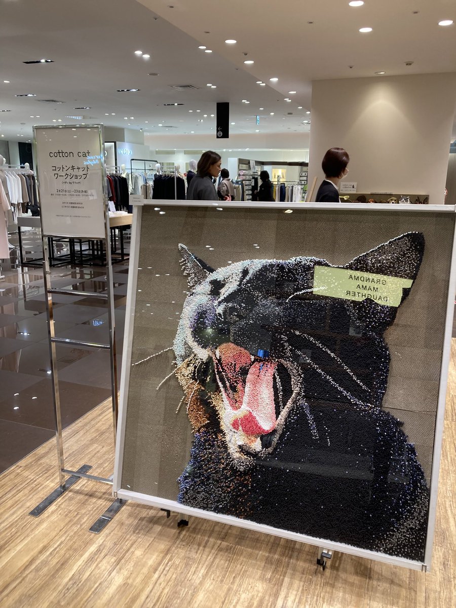 _akimodoki_'s tweet photo. 綿棒野郎白井さん＆犬丸さんがご近所の大丸でワークショップ、チラご挨拶してきました〜
まず「巨大猫丸君見れました」と言おうとして間違える（全部爪研ぎに綿棒です！）
「犬丸さんと猫丸君の区別が付いてないあきもどきです」
「大丸と犬丸も紛らわしい犬丸です」
ますますのご活躍を願います✧
#猫 https://t.co/ztv1qO5U9D