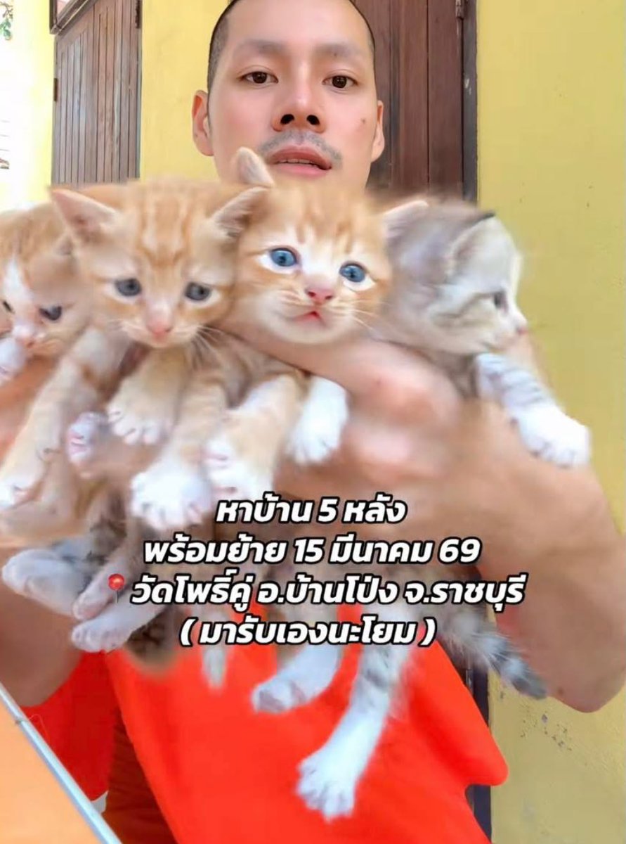 oohs00's tweet photo. สีส้มที่ไม่มีลาย = https://t.co/XX7zSggovc
