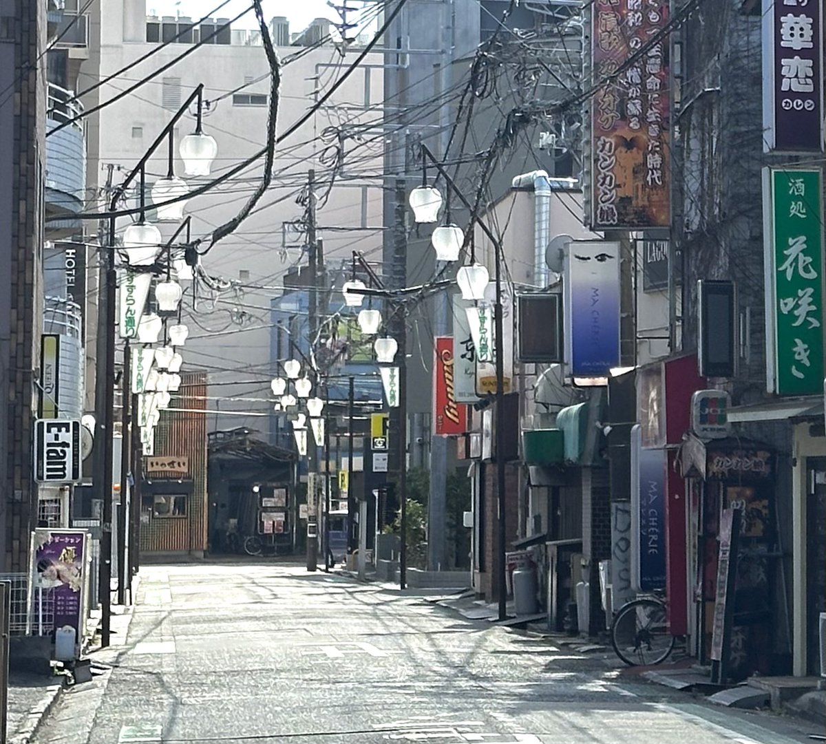 すずらん並みに街が元気かどうかは定かではありません😅