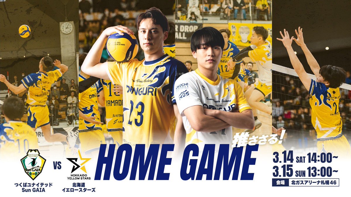 北海道イエロースターズ【公式】 (@yellowstars_vb) / Posts / X