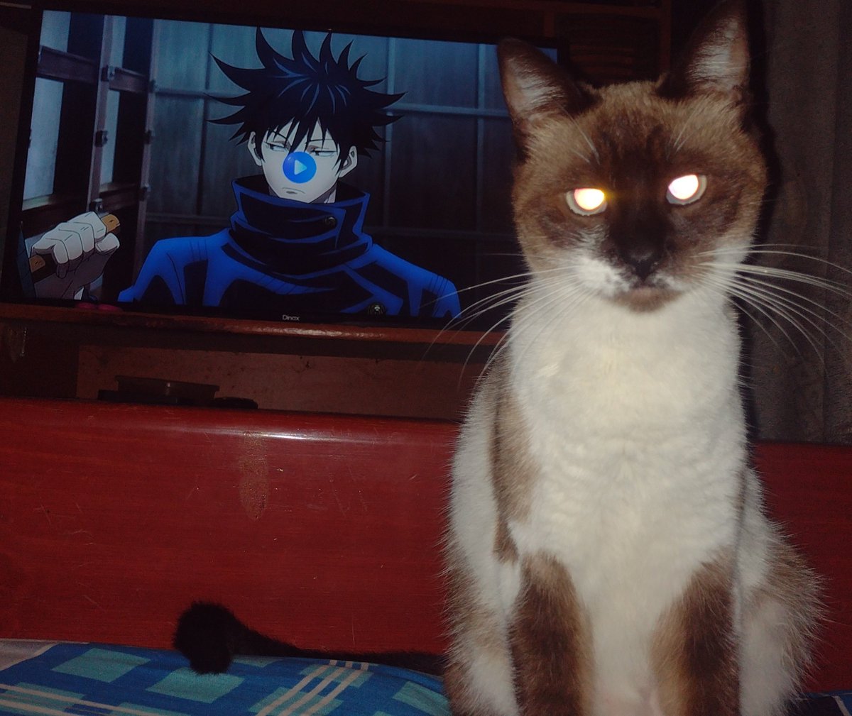 QUÍTATE DEL MEDIO
DEJAME VEEER