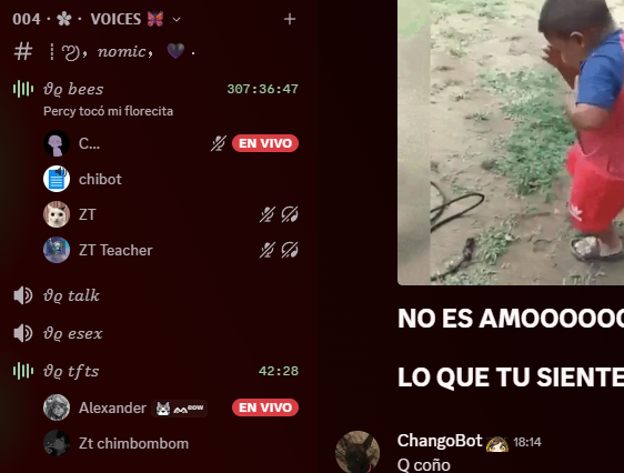 sIQ Chibi tweet media