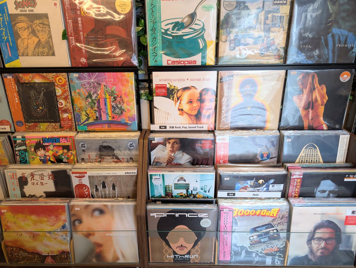 本日もオープン 今週も土曜日まで13時から19時で営業中 お待ちしており