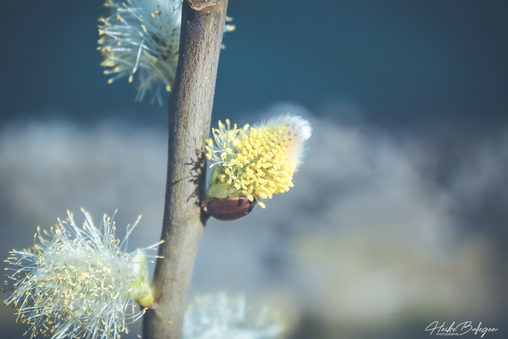 Heike John Ba tweet media