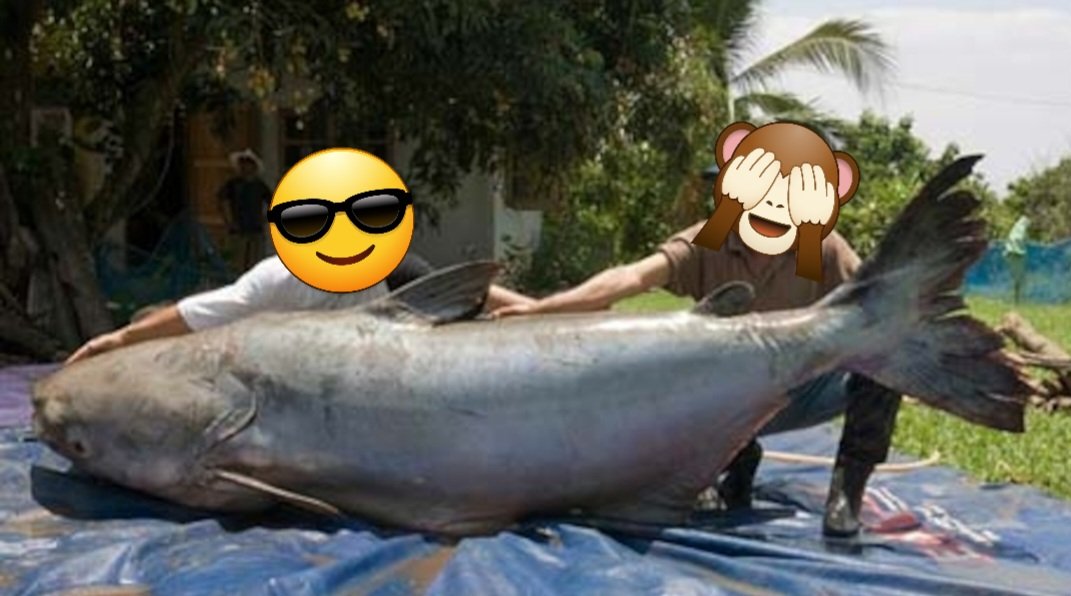 aqua卍 (@aquamrinesearch) / Posts / X