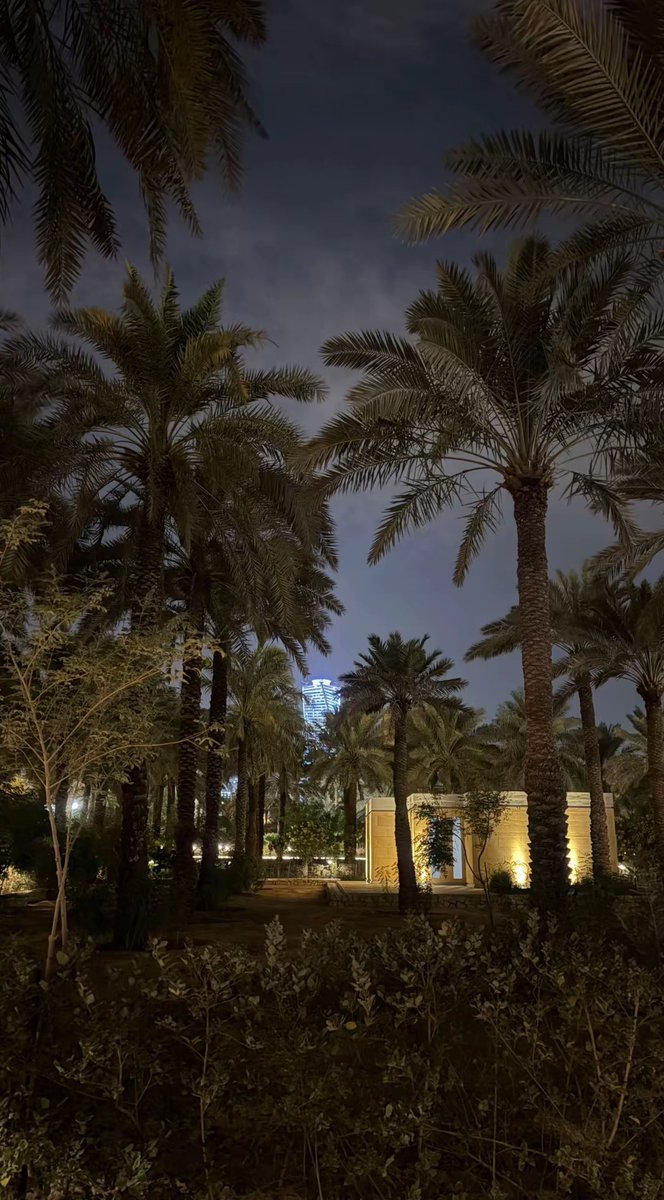 محمد ✩ tweet media