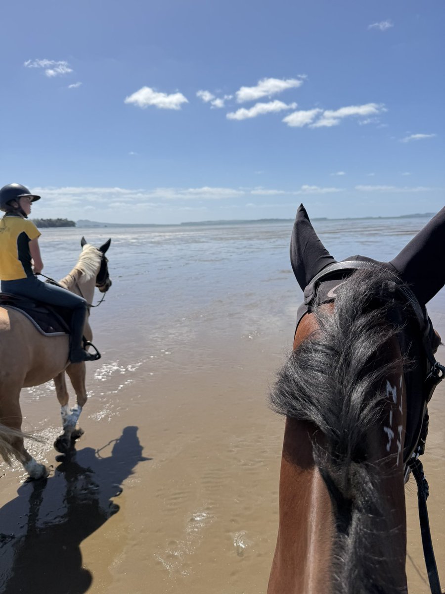 Alicia Harrison tweet media