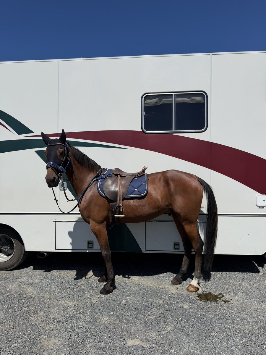 Alicia Harrison tweet media