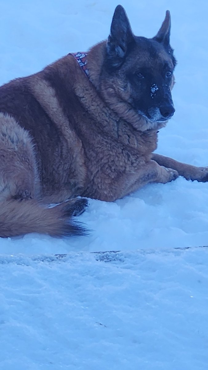 Tod Harris tweet media