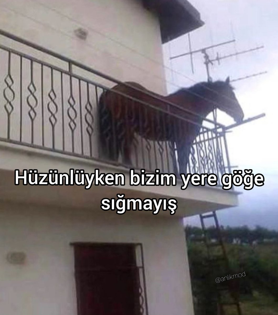 ANLIK (@anlikmod) on Twitter photo 