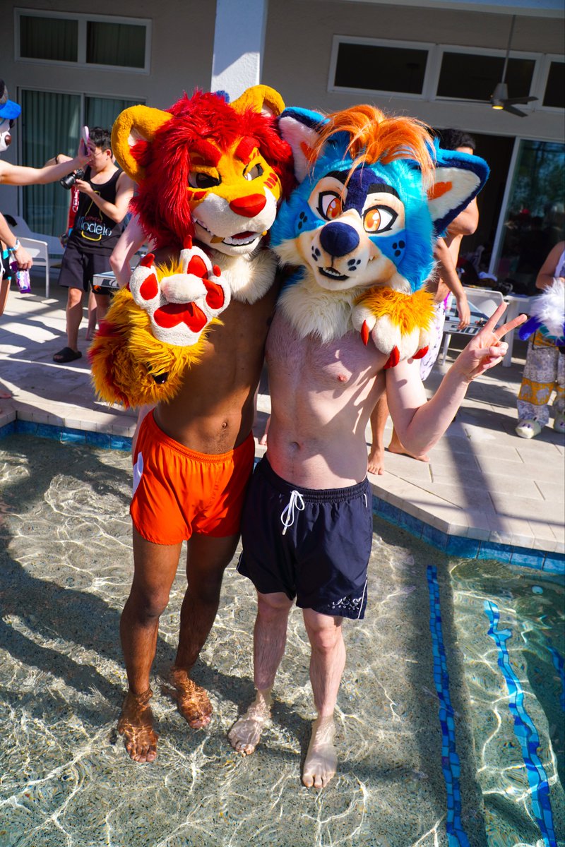 sheep 🔜 LVFC 🎲 tweet media