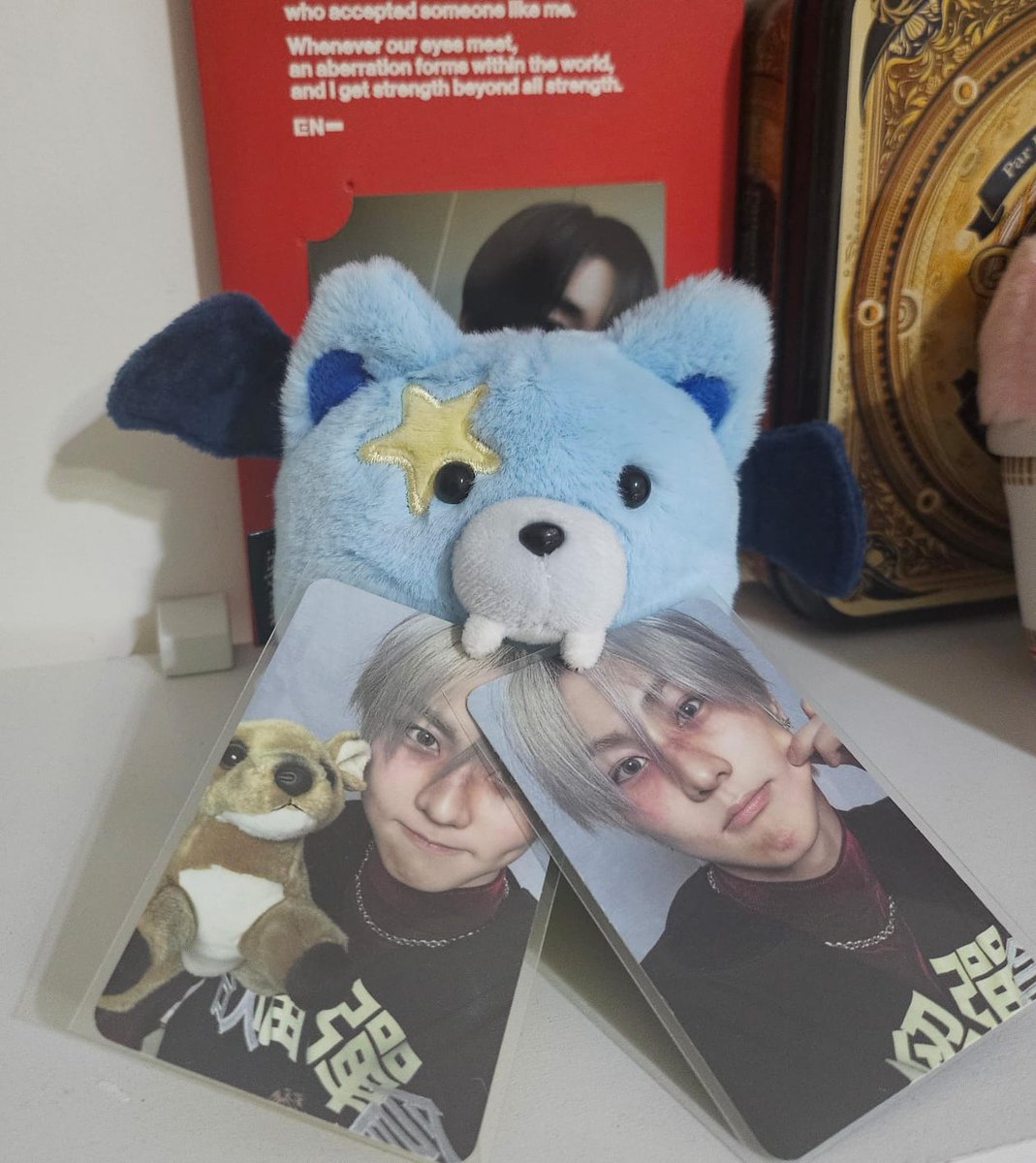 nãooooo..não roube meus photocards