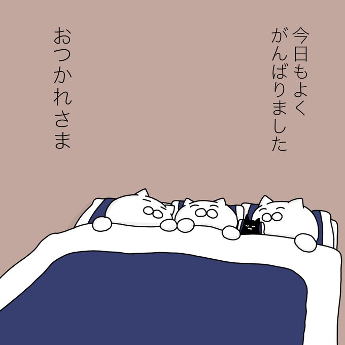 大和猫 tweet media