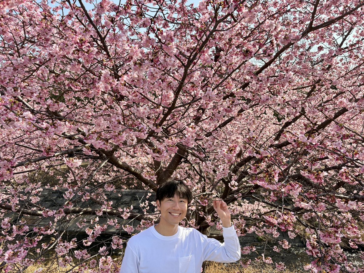 tanatenki's tweet photo. 浜松市中央区大山町で開催されている
「東大山河津さくらまつり」に
行ってきました🌸✨
いまが満開！咲き誇っています😆 https://t.co/yuBqdvTYwo