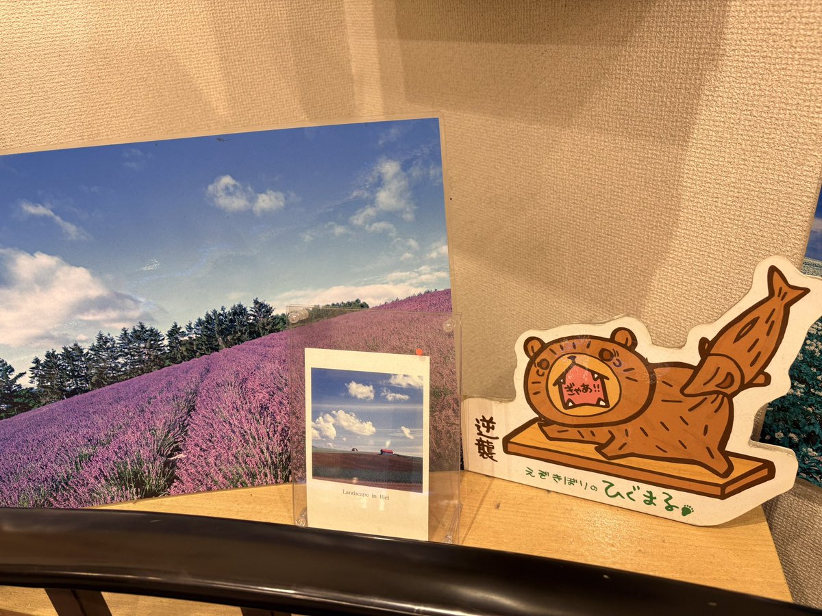 狸小路のたぬき屋さんにいたよー✨✨

みてみてー！