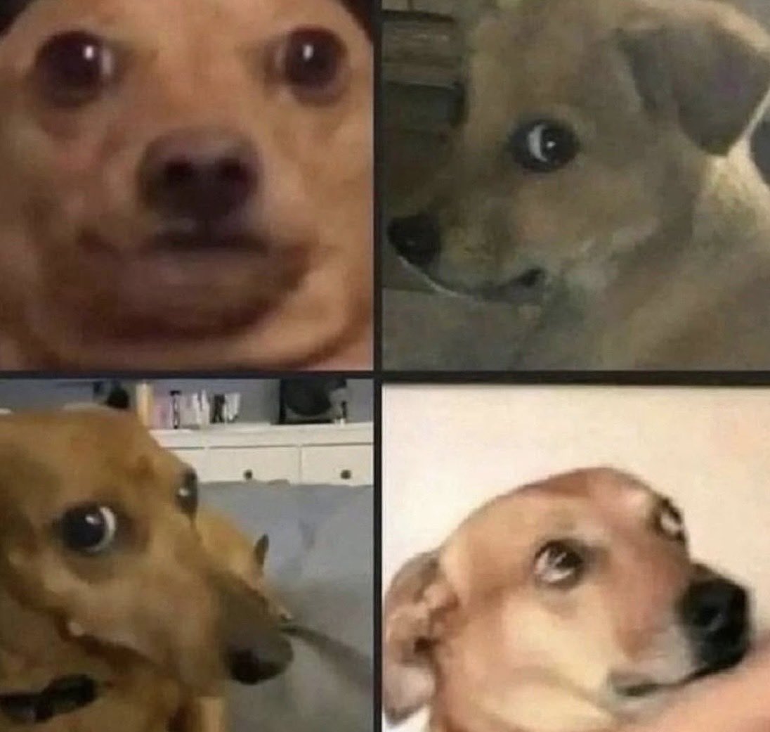 "Ni soy tan criticón"

Mi cara en todos lados: