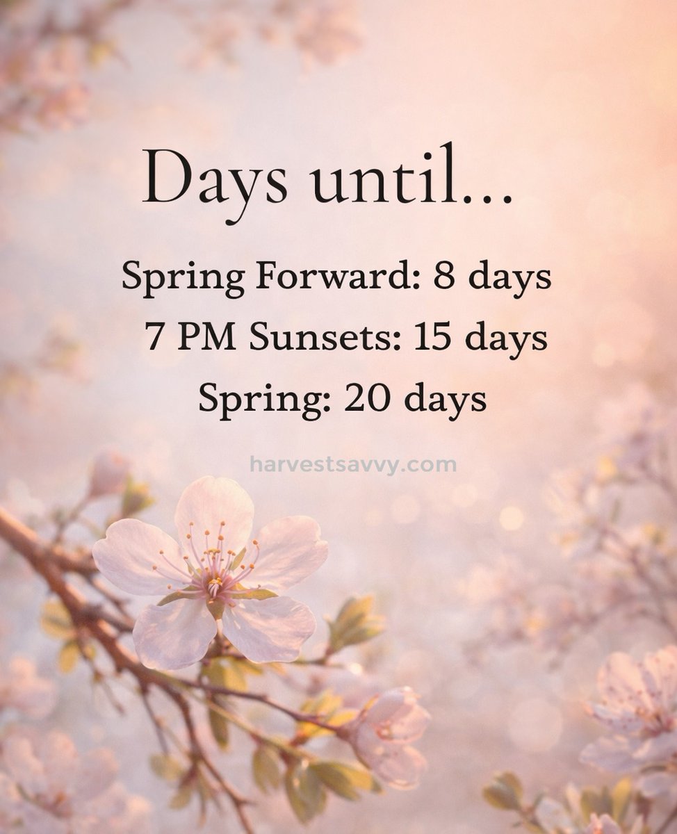HarvestSavvy's tweet image. #DaysUntilSpring #SpringCountdown #SpringForward #LongerDaysAhead #7PMSunsets #HelloSunshine #SeasonalLiving #LateWinter #AlmostSpring #SimpleSeasonalMoments