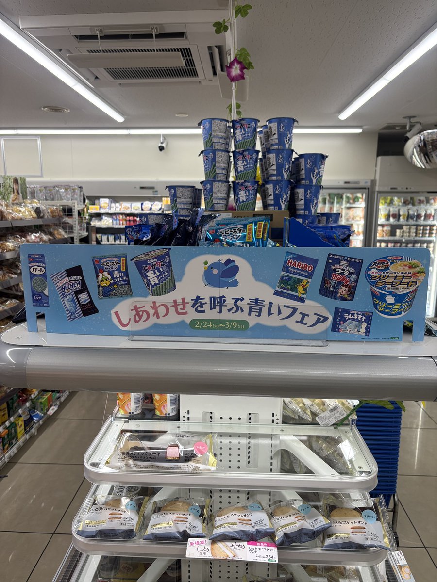 ケイタ【ニシコリ】 (@keita_nishikori) / Posts / X