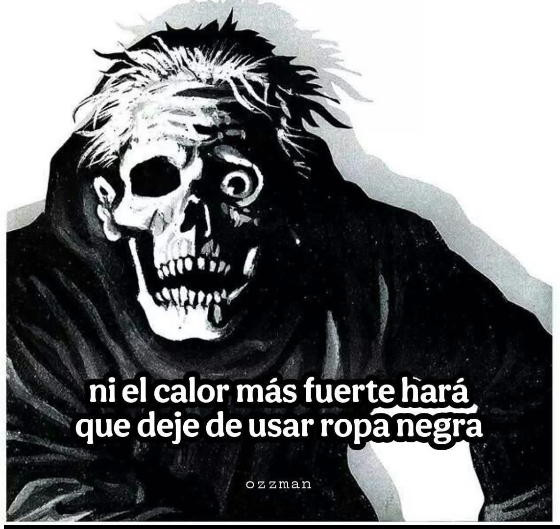 🦇🦇🩸 tweet media