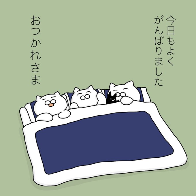 大和猫 tweet media