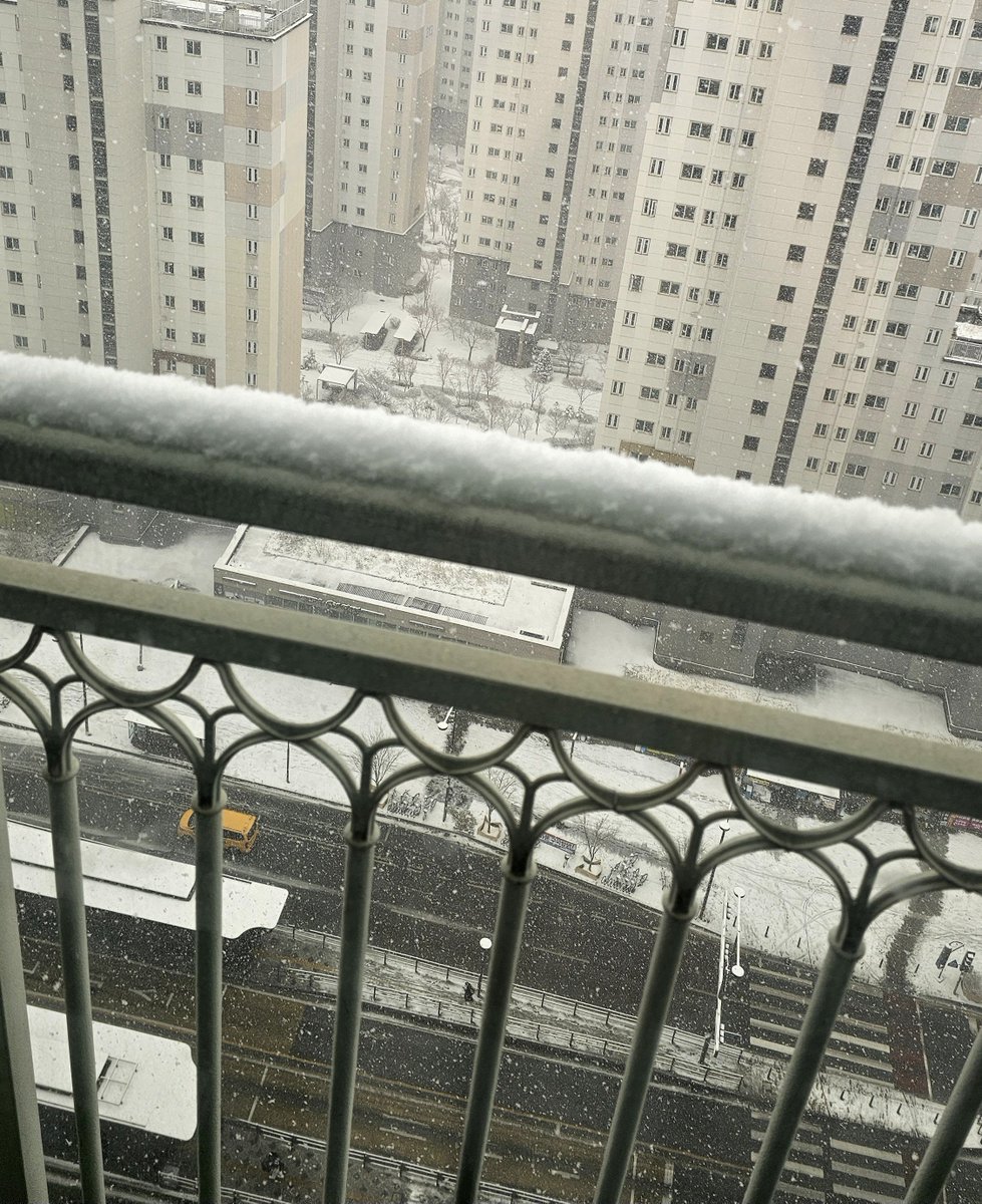 눈이 엄청 많이 오고있어요🌨❄️
