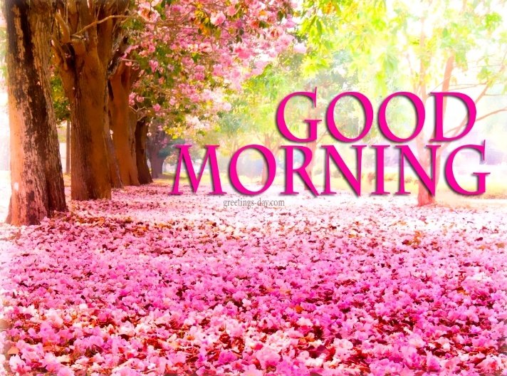 Wake with ambition,
Resolve to try more today,
Strive to approach from a different angle.

Good morning. 

#Goodmorning |Fido|El Chapo|Abiodun|RamadanDay07|imisi x soft Canada| join below for more signal