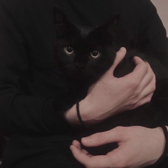 ⌞Kyo⌝ / nsfr tweet media