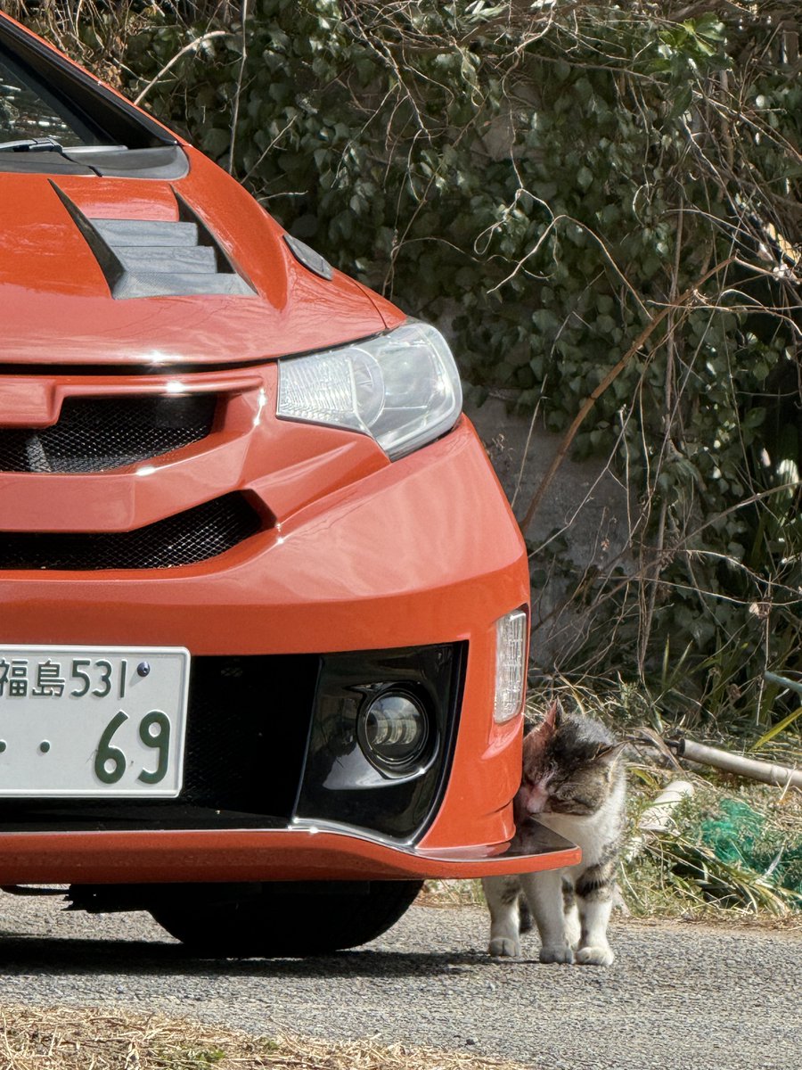 Anza1@梅原流 tweet media