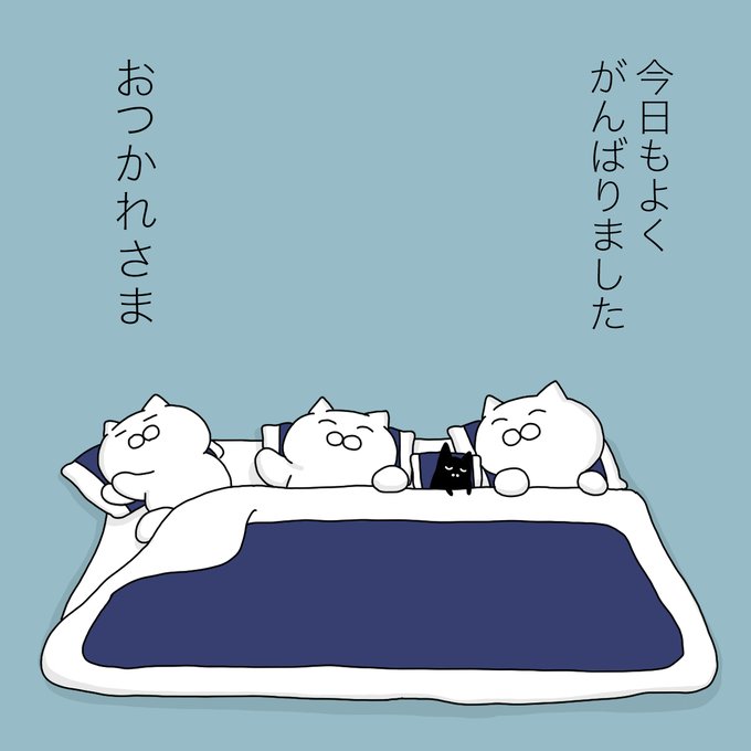 大和猫 tweet media