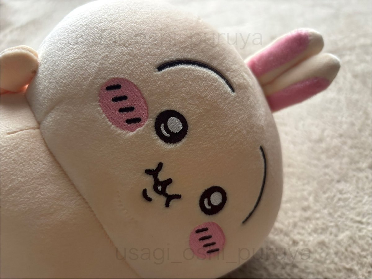 うさぎ推しプルャ！ (@usagi_uraura5) / Posts / X