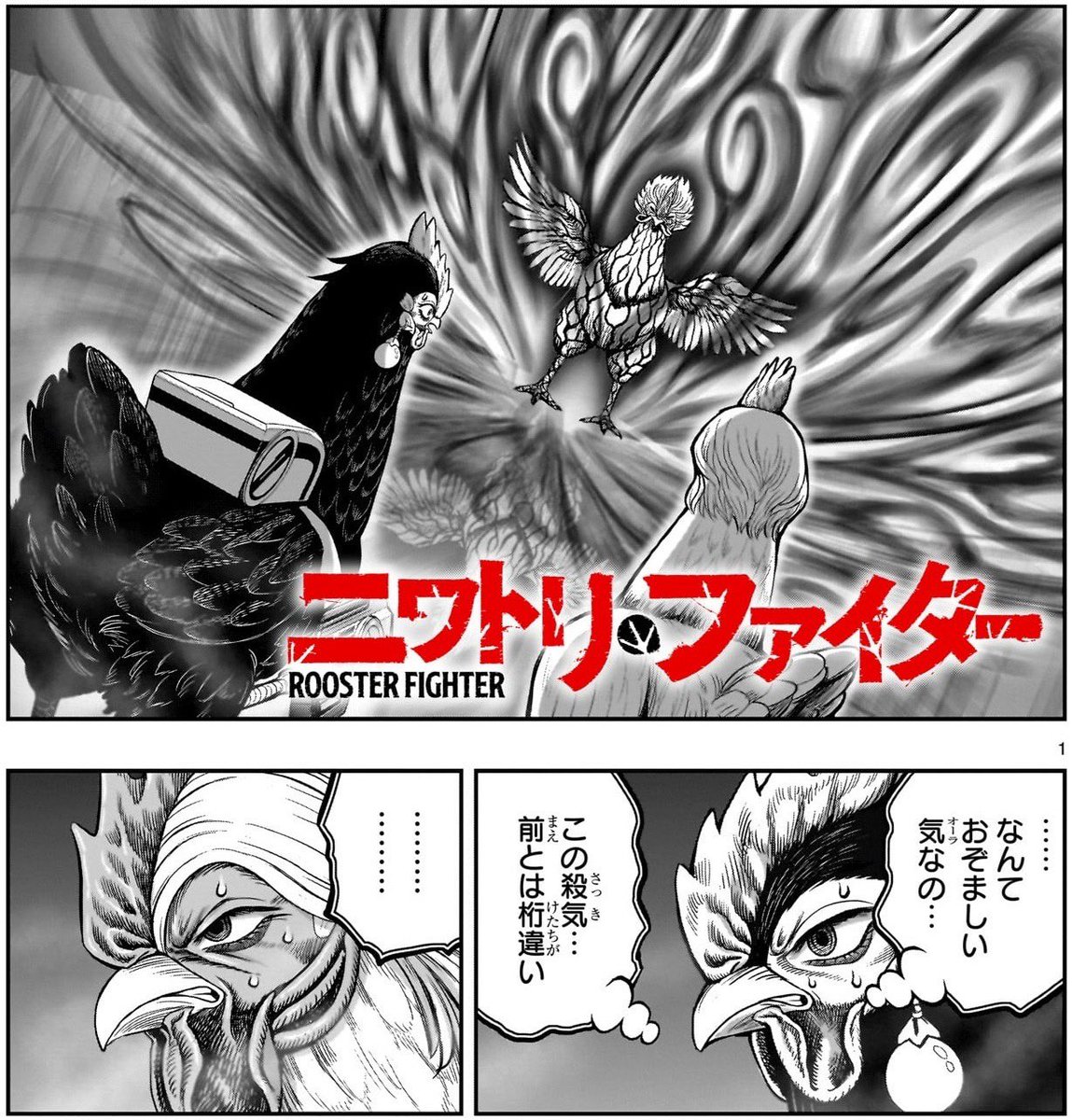 桜谷シュウ 『ニワトリ・ファイター』 Rooster Fighter 第11巻 発売中