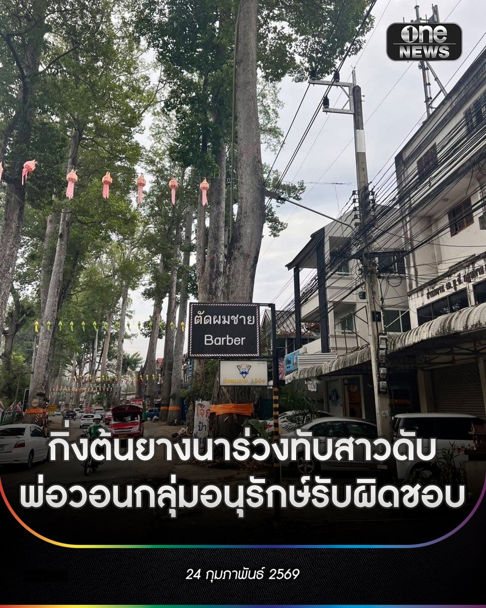 ช่วงเช้าวานนี้ (23 ก.พ.) เกิดเหตุกิ่งต้นยางนายักษ์หัก ร่วงลงมาทับผู้ขับขี่รถจักรยานยนต์ บนถนนเชียงใหม่–ลำพูน หมู่ 4 บริเวณหน้าสำนักงานที่ดินสารภี ต.หนองผึ้ง อ.สารภี จ.เชียงใหม่ ส่งผลให้หญิงอายุ 26 ปี ชาวบ้านในพื้นที่ สาหัส และเสียชีวิตในเวลาต่อมา
.
ด้านพ่อของผู้เสียชีวิต