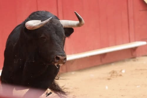 Mundo Toca tweet media