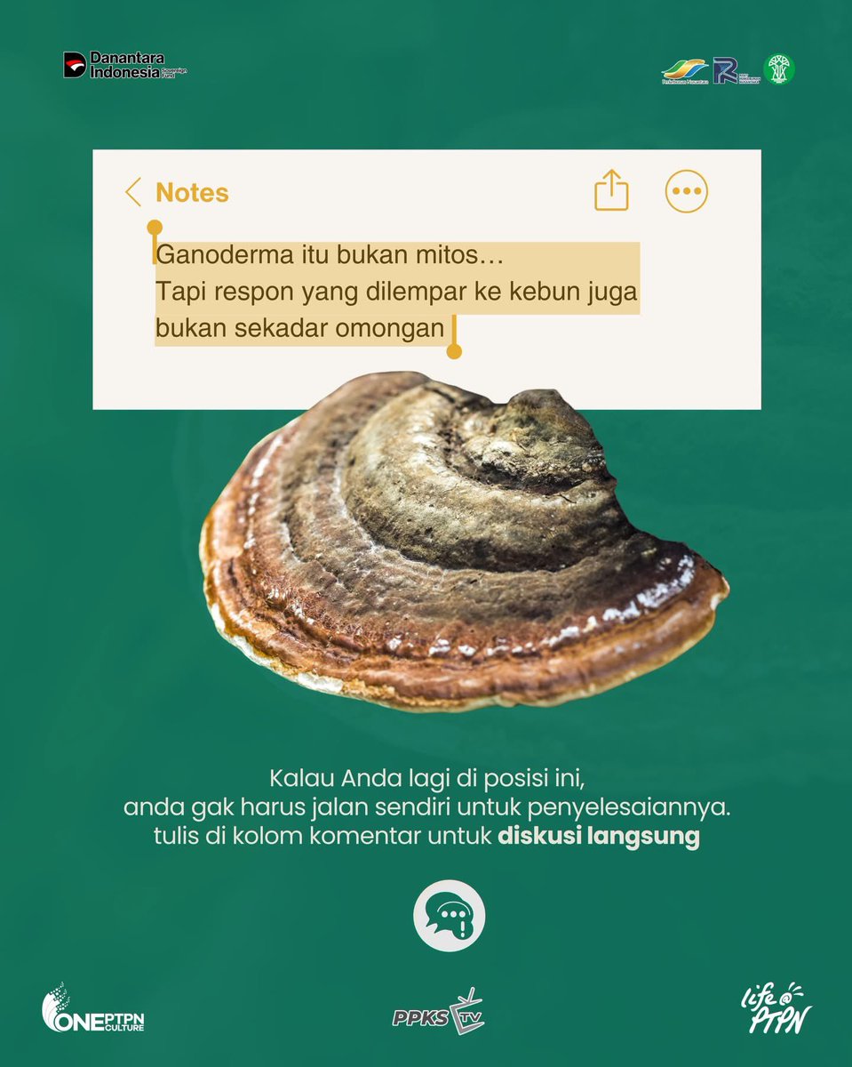 PPKS_ID's tweet photo. Akar mulai melemah, keseimbangan kebun terganggu, dan di kondisi inilah Ganoderma mudah berkembang. Bukan jamurnya muncul mendadak, tapi karena pengelolaan kebunnya belum dijaga seimbang sejak awal.
.
Pernahkah anda mengalami kondisi ini juga? Yuk, ceritakan di kolom komentar! https://t.co/wkCLKfyIyx